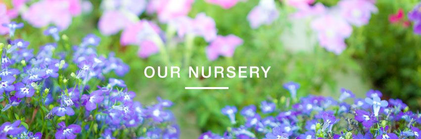 Our Nurseries